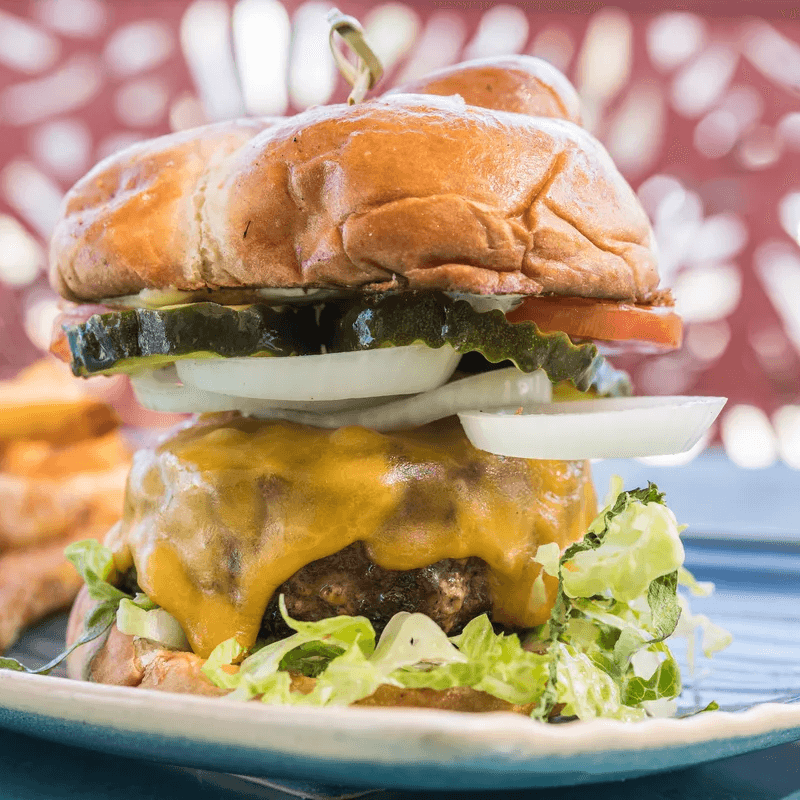 Miss B's Coconut Club Club Burger Mission Beach San Diego